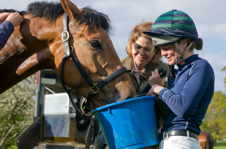 The Importance of Grooming Routines