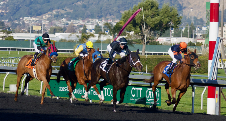 The History of Horse Racing Around the World